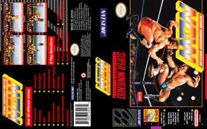 Natsume Championship Wrestling